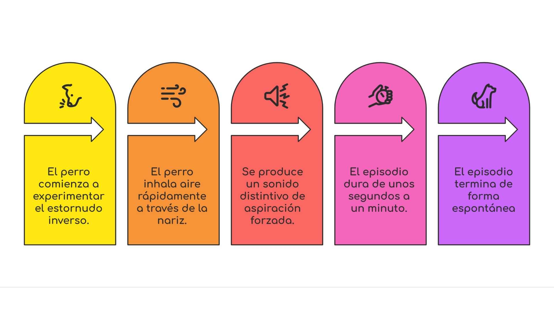esquema cómo sucede